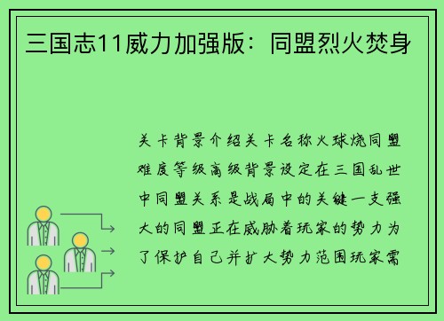 三国志11威力加强版：同盟烈火焚身