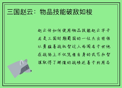 三国赵云：物品技能破敌如梭